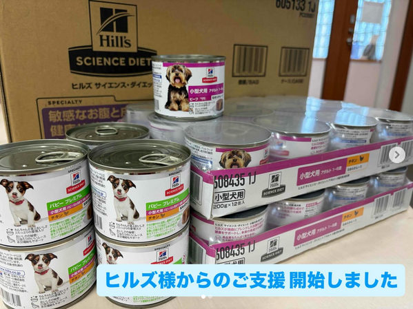 Food & Love サポート